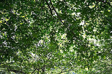 新版本PS5偷跑 玩家反馈主机运行很安静